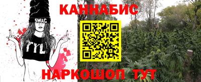 мдпв Рузаевка