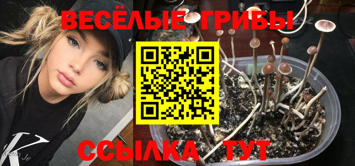 Рассказово  Псилоцибиновые грибы прущие грибы  Вход с VPN 
