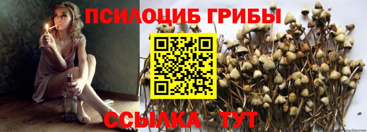 Псилоцибиновые грибы ЛСД Рассказово